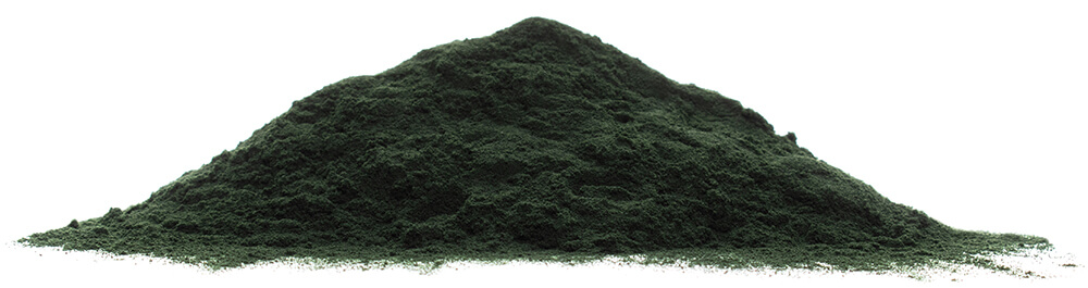 Spirulina prášek BIO - z boku